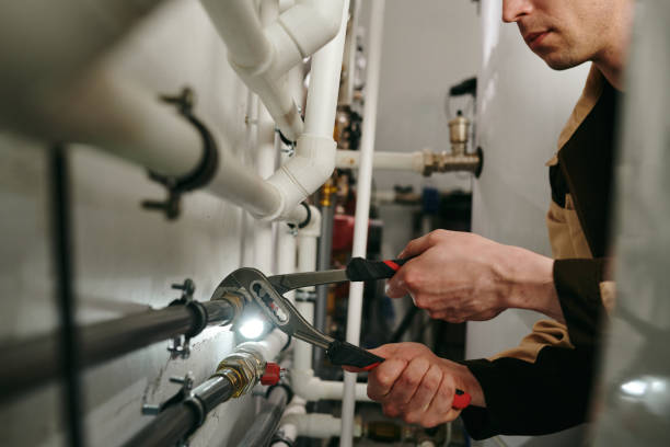 Best Plumbing Repair Near Me  in Tazewell, TN