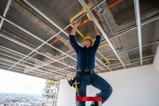 Best Local Plumber Services  in Tazewell, TN